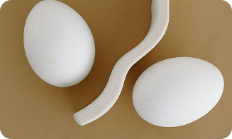 imagen decorativa comercialización de activos inmobiliarios