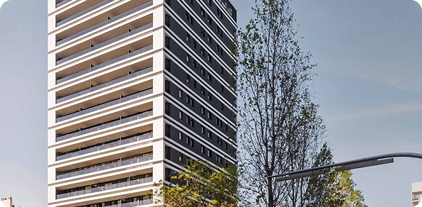 proyecto build to rent españa